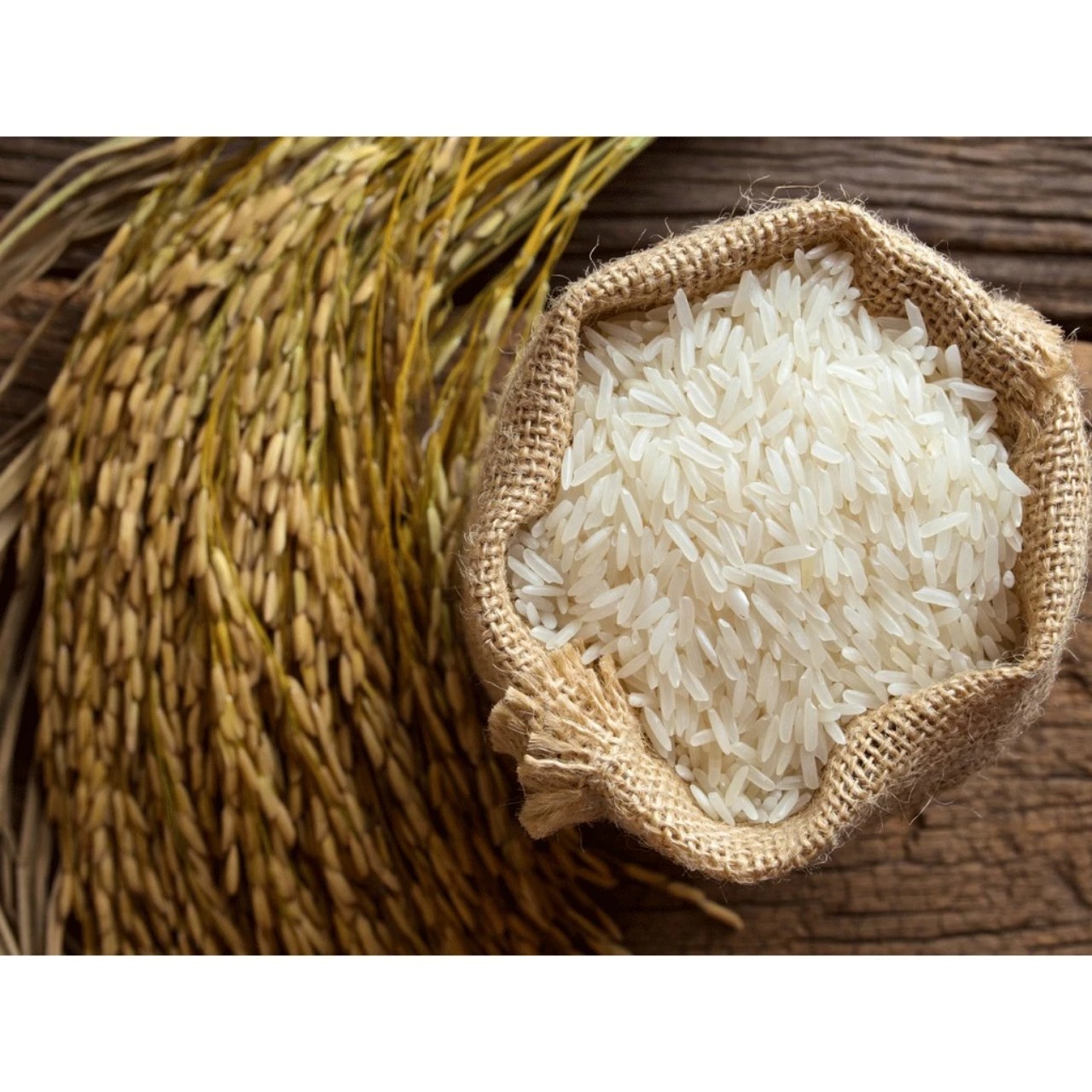 Gạo ST25 Lúa Tôm Ông Cua