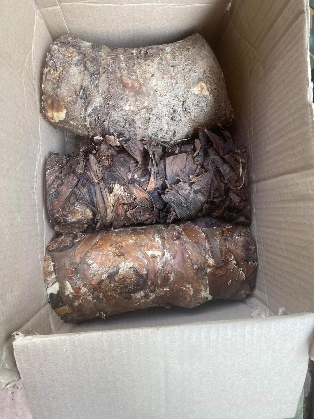 CỦ BẠC HÀ NÚI TỰ NHIÊN LÂU NĂM( 5KG)