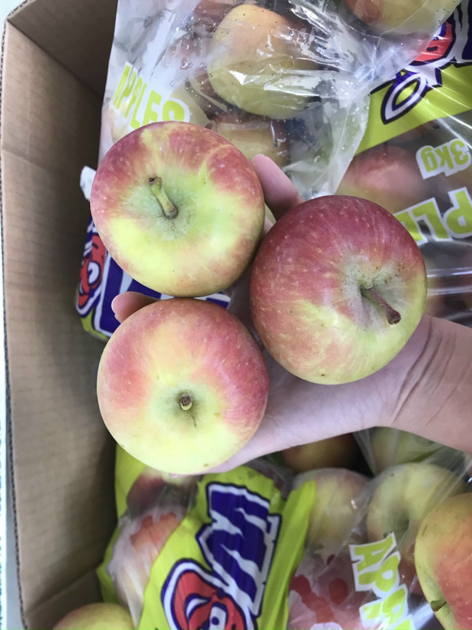 TÁO FUJI NAM PHI TÚI 3KG