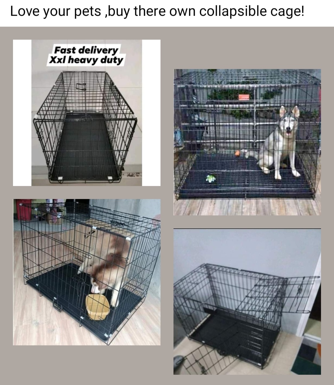 XXL HEAVY DUTY COLLAPSIBLE DOG CAGE FREE POOPTRAY Lazada PH