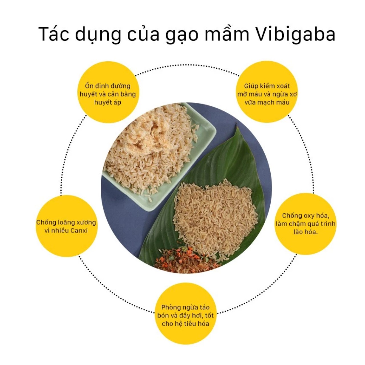 Gạo Mầm Vibigaba