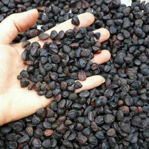 Hạt dổi nếp 100gr