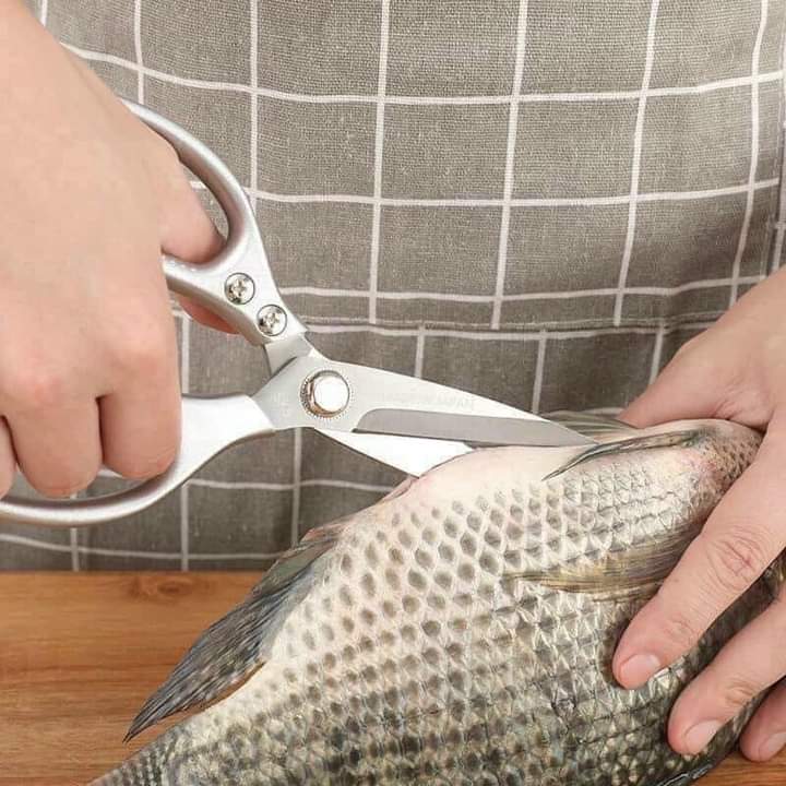 Kéo cắt thịt gà