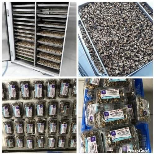 Nấm rơm sấy khô loại 1 (1 kg 800.000 đồng)