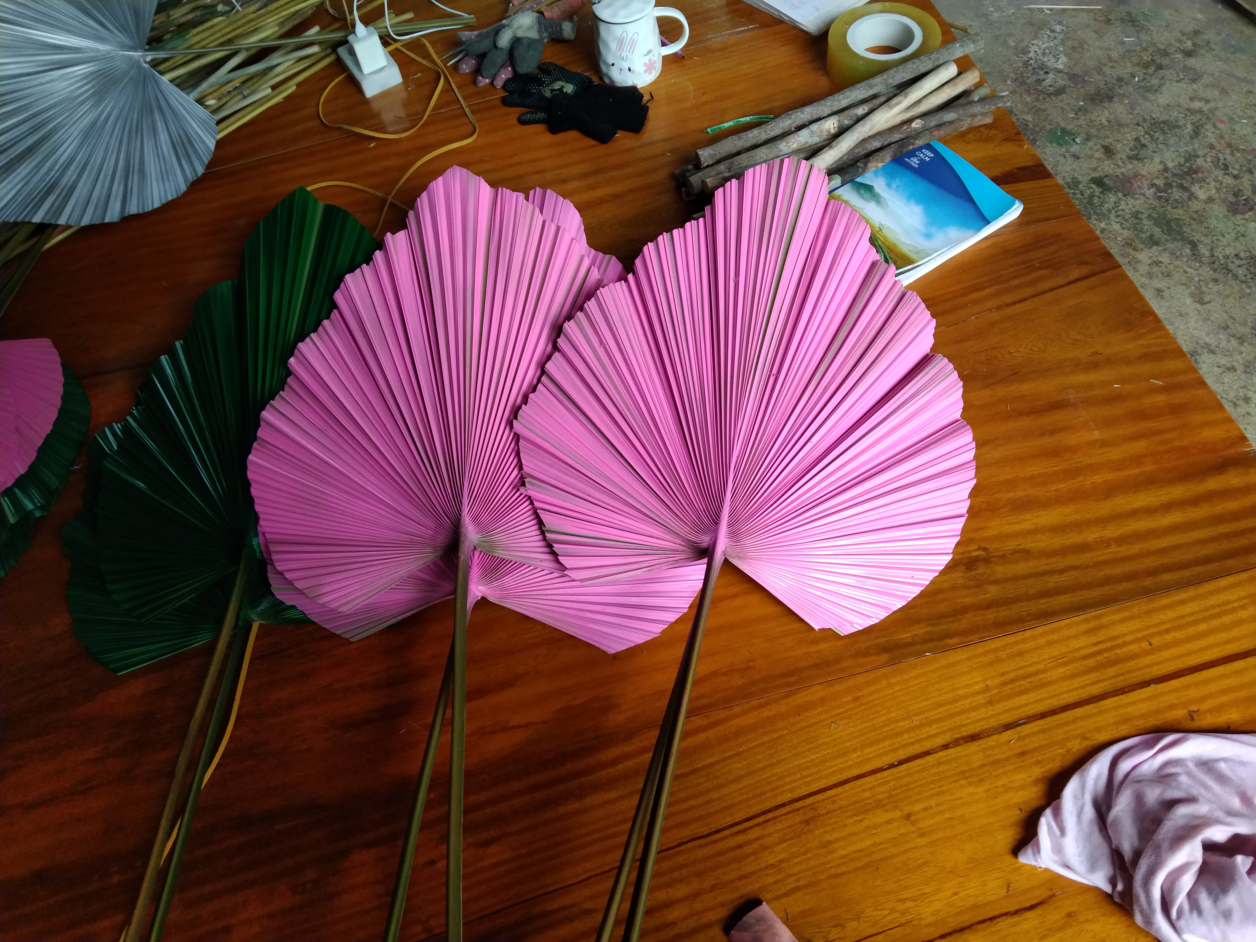 Lá cọ trang trí