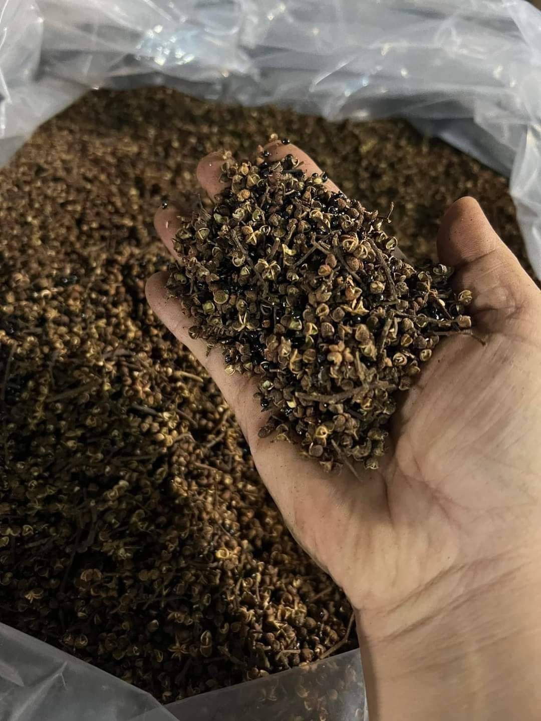 Hạt Mắc Khén Rừng Sapa 500Gam