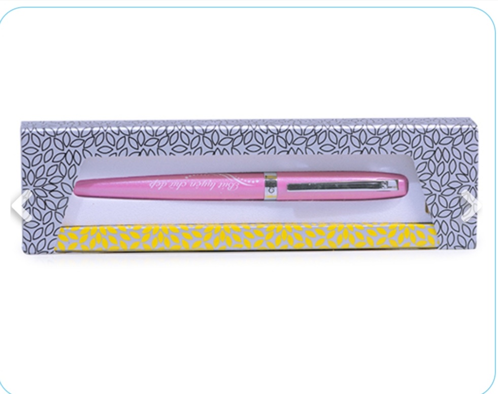Bút viết chữ đẹp FT-030( bút máy bơm mực)
