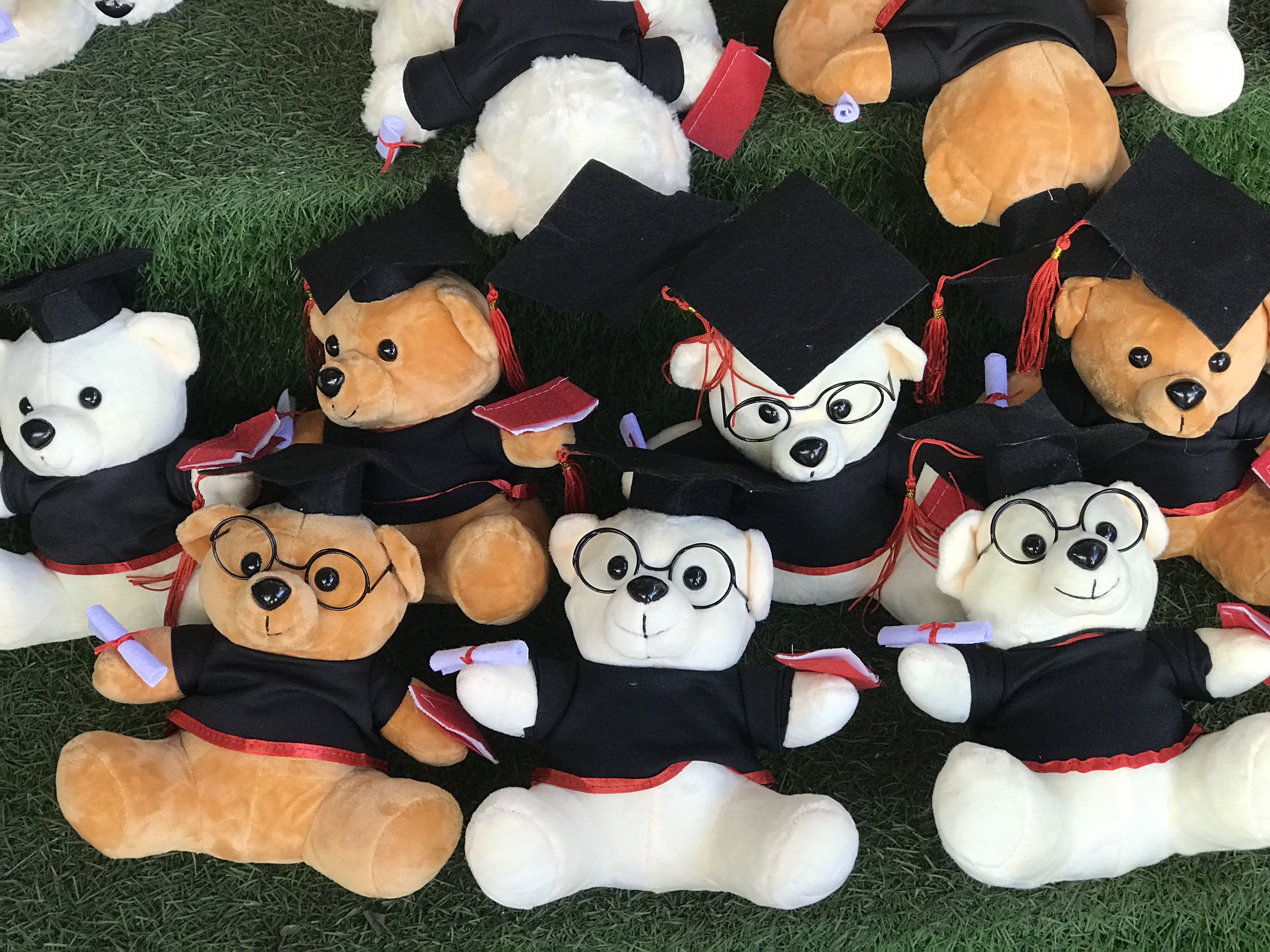 Gấu bông tốt nghiệp