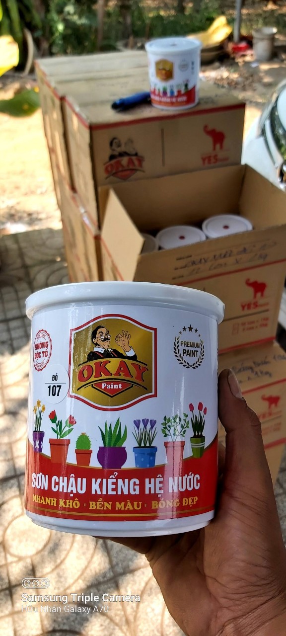 Sơn chậu kiểng Dulphin Hê Nước OKAY(107)