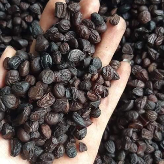 Hạt dổi nếp 100gr