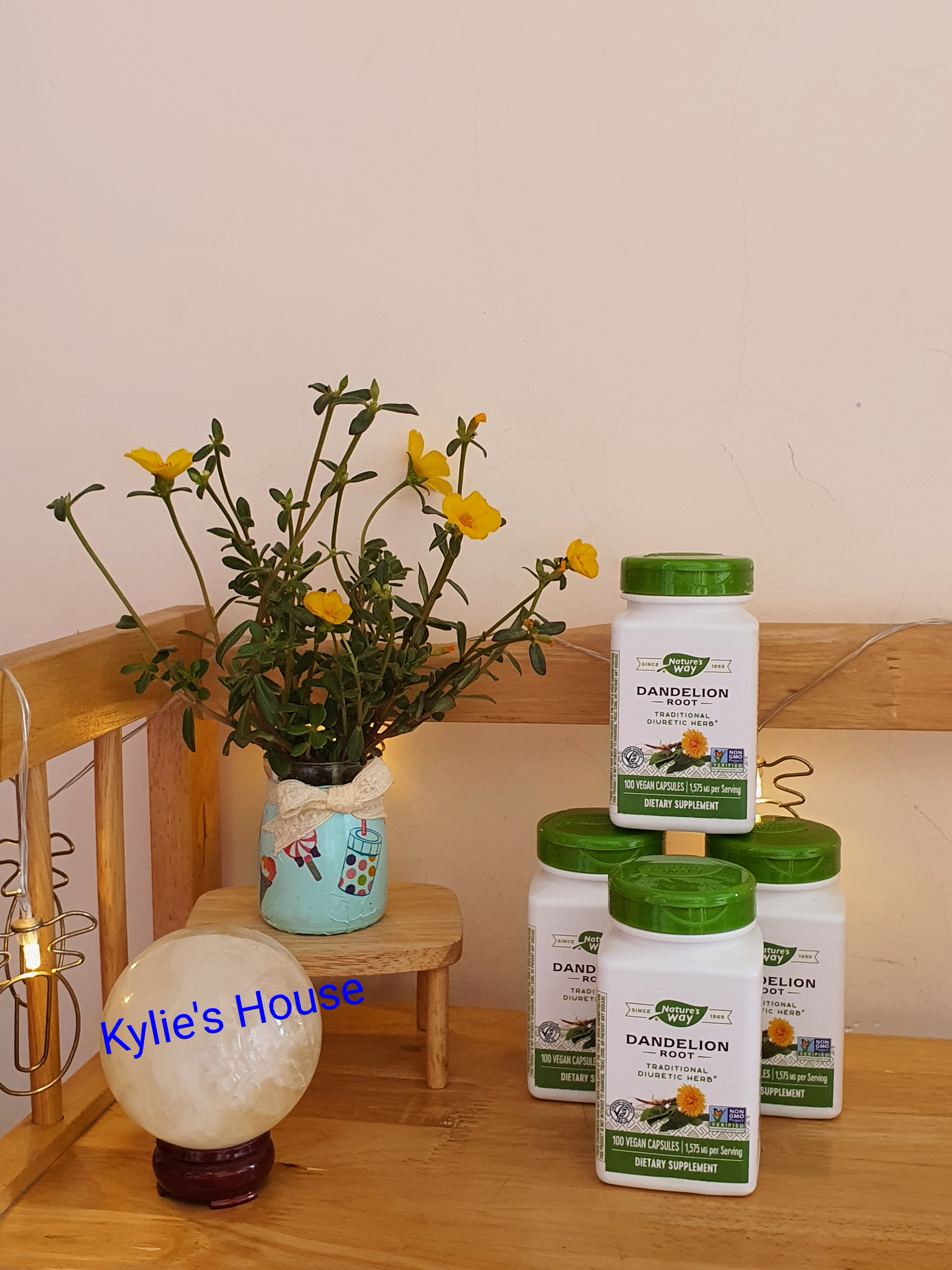 Nature's Way Dandelion Root - Rễ bồ công anh 100v