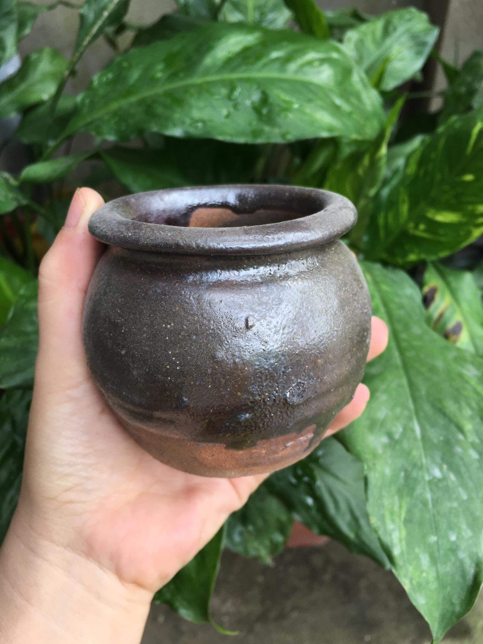 Chậu gốm sứ mini hàng xuất khẩu bền đẹp