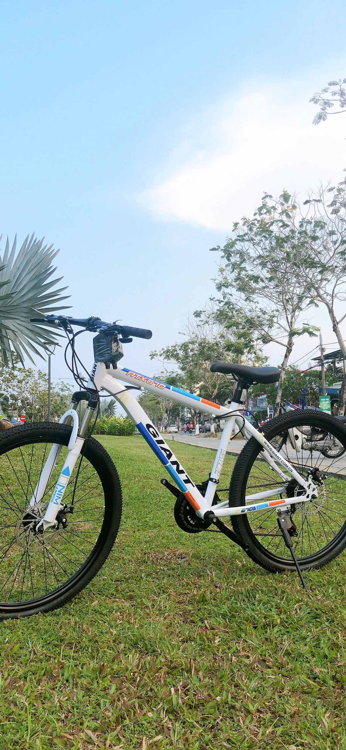 Xe đạp giá rẻ