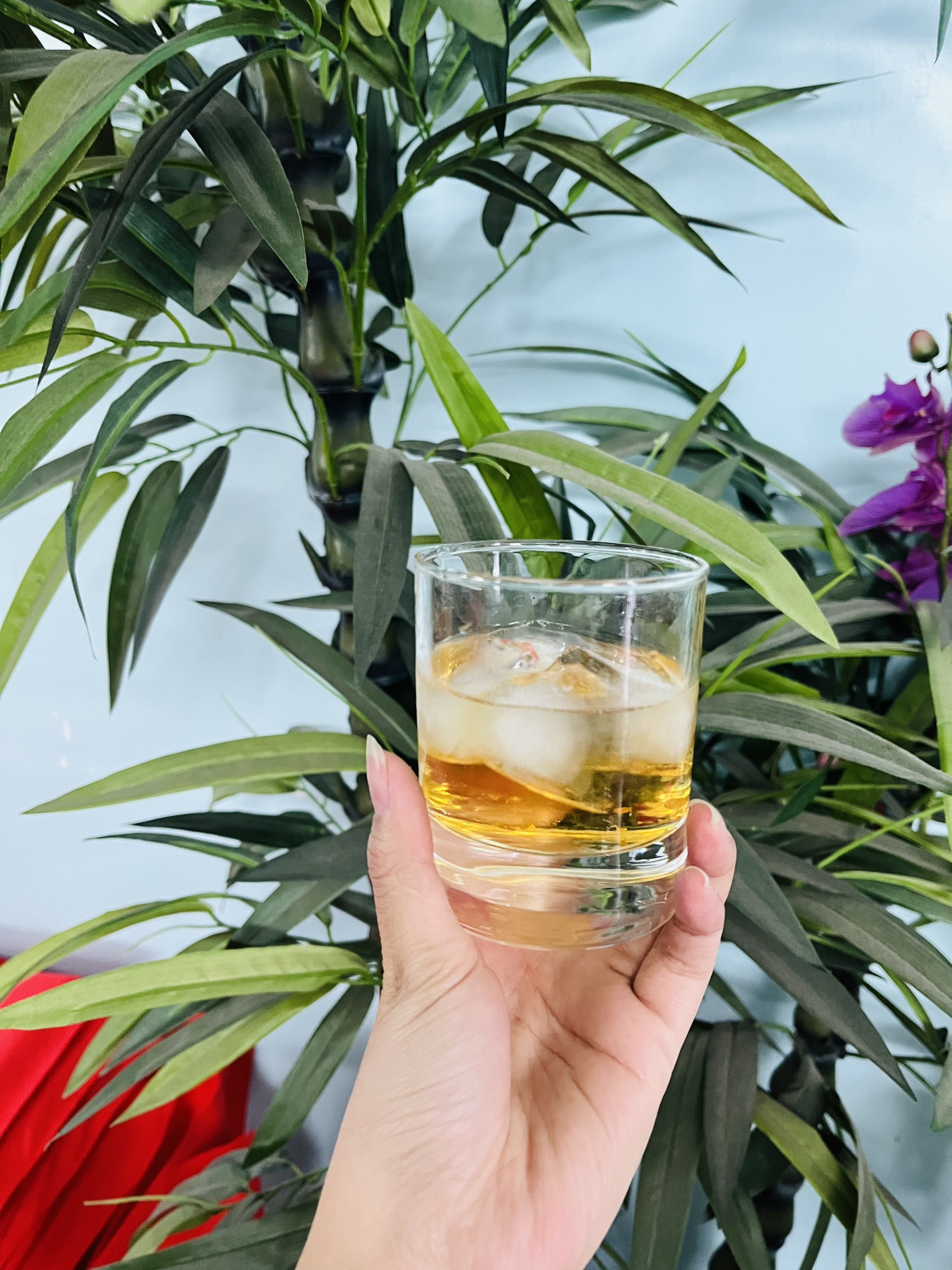Nước mơ vảy vàng