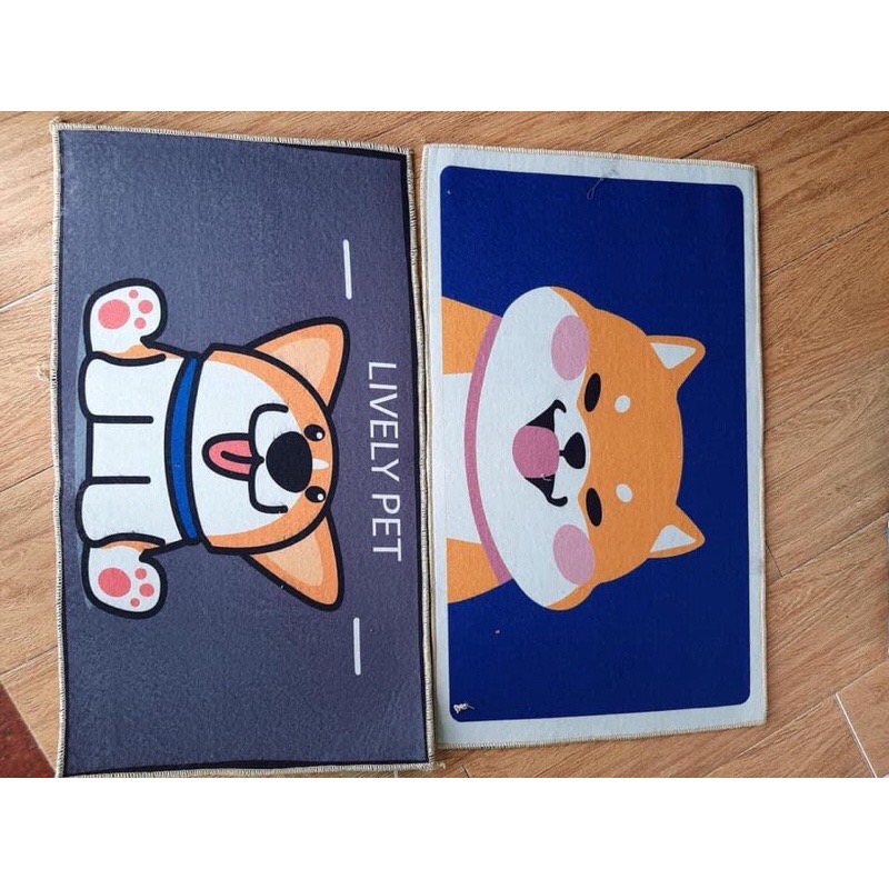 Thảm chân 3D hình thú cute 😋😋