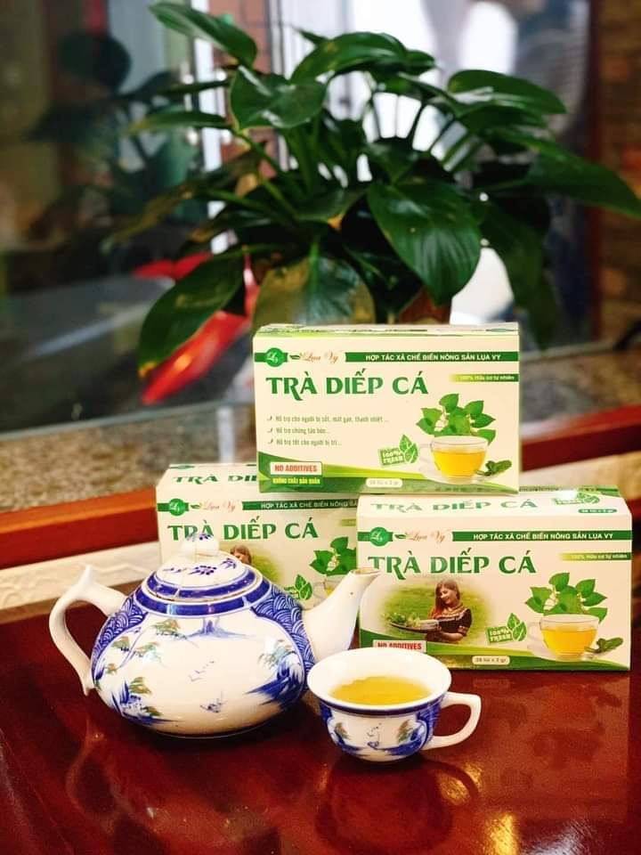 Trà Diếp Cá Lụa Vy