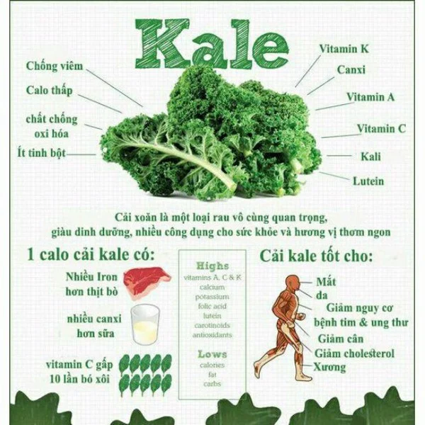Bột cải kale hữu cơ