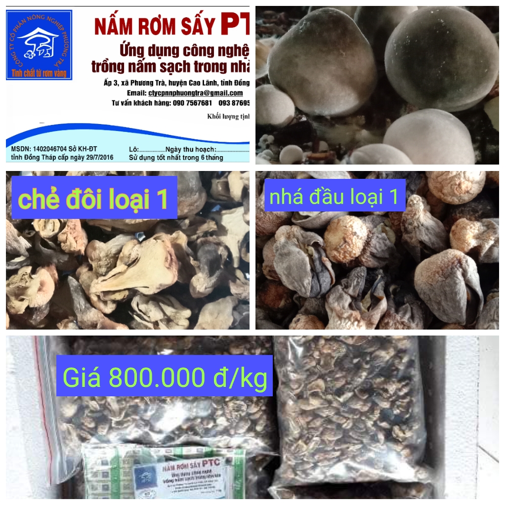Nấm rơm sấy khô loại 1 (1 kg 800.000 đồng)