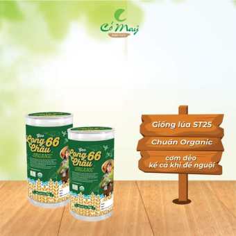 Gạo LONG CHÂU 66 ORGANIC