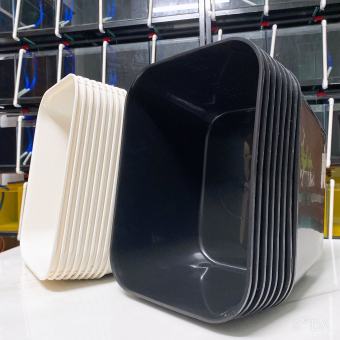 Khay Nhựa Nuôi Cá Thùng Kem Nuôi Cá 7 Lít