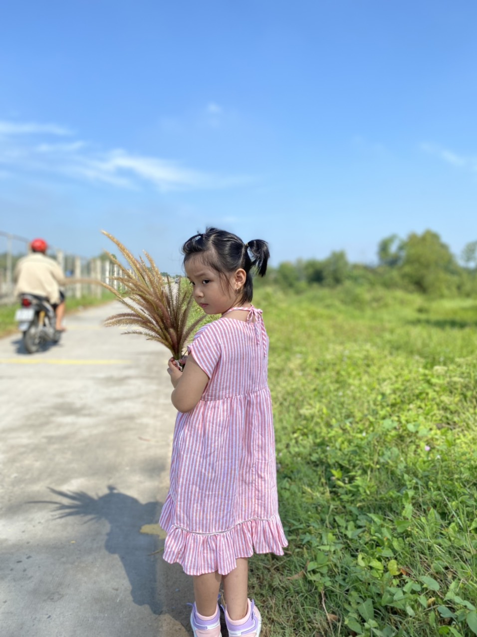 ĐẦM SỌC HỒNG BEE BEE KID CUTE