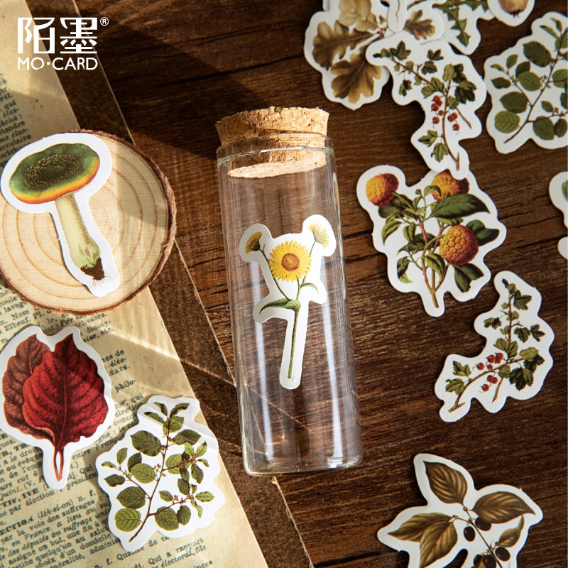 Bộ sticker/ Hình dán Hình Cỏ & Nấm Siêu Xinh (46 Hình)