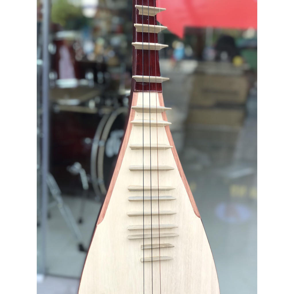 Mua đàn tì bà ( đàn tỳ bà ) ở tphcm, hà nội