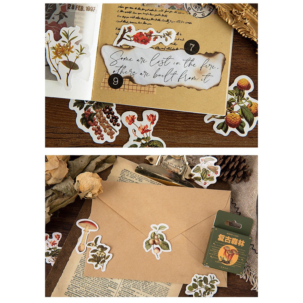 Bộ sticker/ Hình dán Hình Cỏ & Nấm Siêu Xinh (46 Hình)