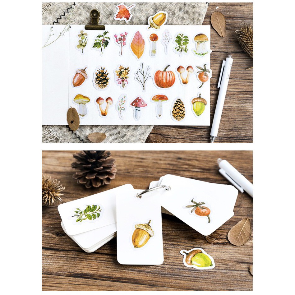 Bộ sticker/ Hình dán Hình Nấm & Lá Cây Khô (45 Hình)
