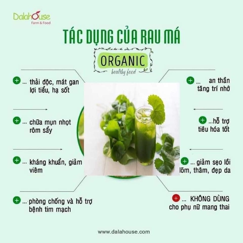 Bột rau má nguyên chất sấy lạnh
