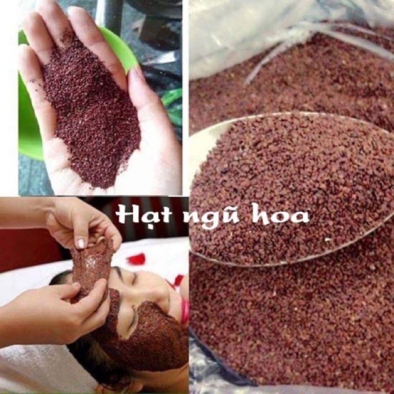 100g hạt ngũ hoa ( hạt đình lịch) hạt đẹp sạch