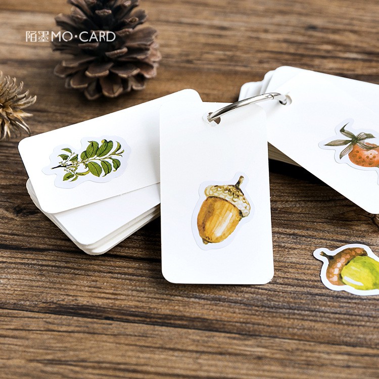 Bộ sticker/ Hình dán Hình Nấm & Lá Cây Khô (45 Hình)