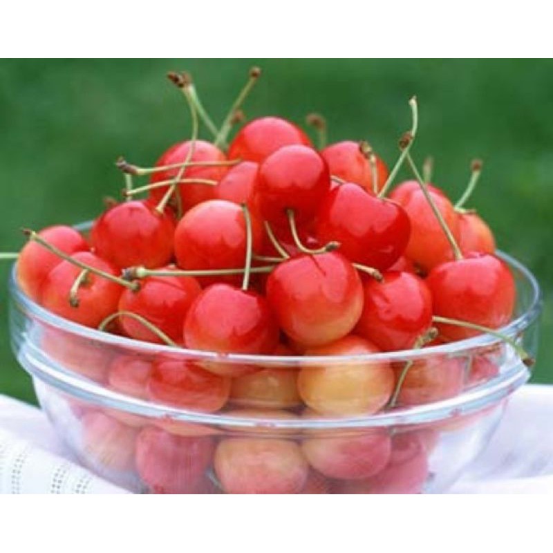 Mứt sơri gói 500g