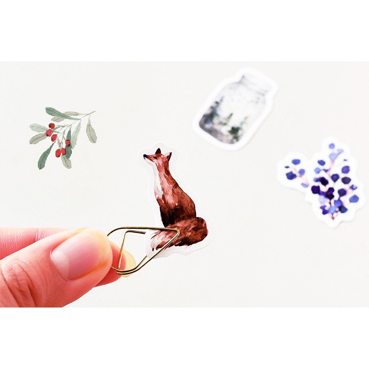 Bộ sticker/ Hình dán Họa Tiết Nam Cực (46 Hình)