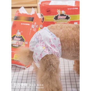 Bỉm cho chó cái DONO