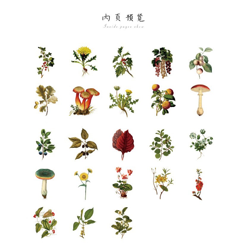 Bộ sticker/ Hình dán Hình Cỏ & Nấm Siêu Xinh (46 Hình)