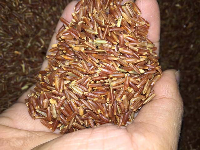 Gạo Lức Huyết Rồng 1kg
