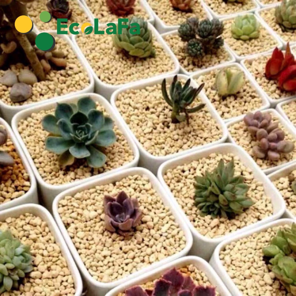 Đất nung Akadama Nhật Bản size SS (1-3mm), Đất nung trồng sen đá