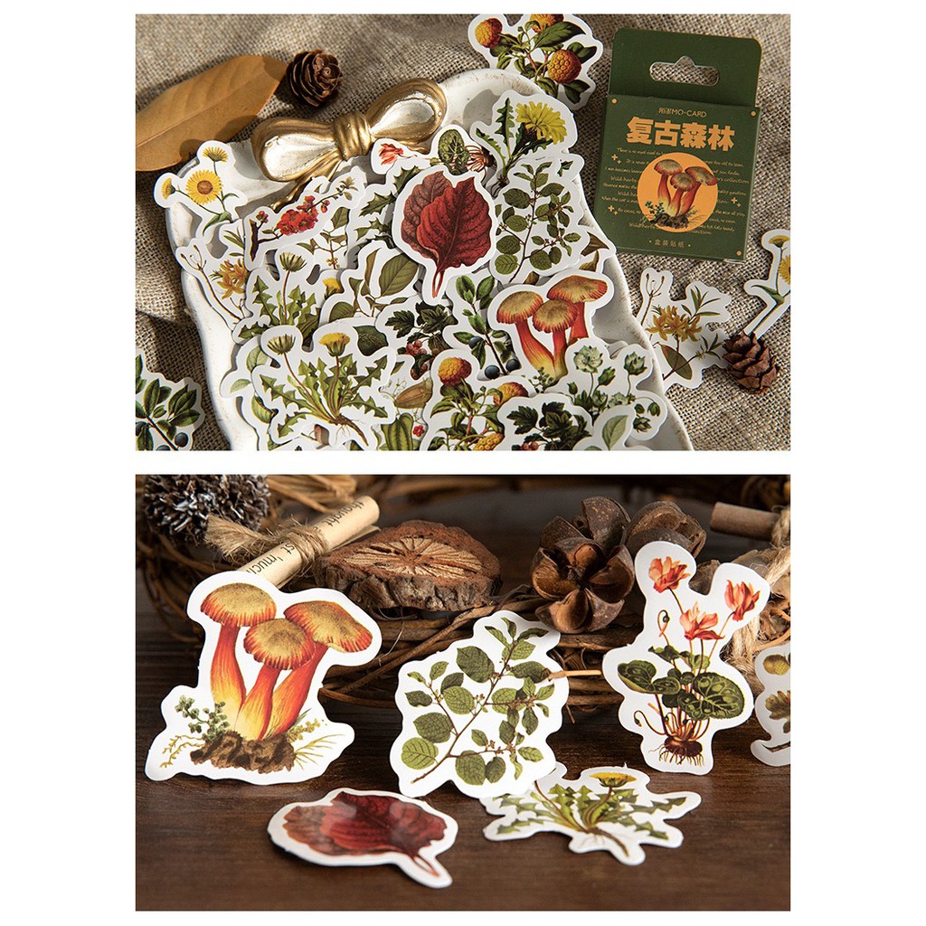 Bộ sticker/ Hình dán Hình Cỏ & Nấm Siêu Xinh (46 Hình)