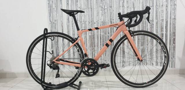 Cannondale 2024 caad13 pink