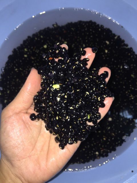 BỘT ĐẬU ĐEN XANH LÒNG HANDMADE 1kg
