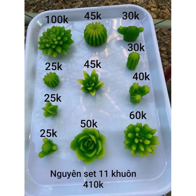 Combo 11 Khuôn silicon xương rồng, sen đá làm thạch rau câu hoa nến