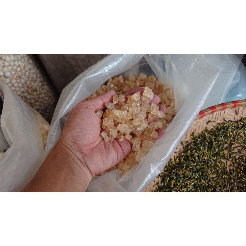 Mủ trôm hạt nhỏ Phan Rang - Bình Thuận