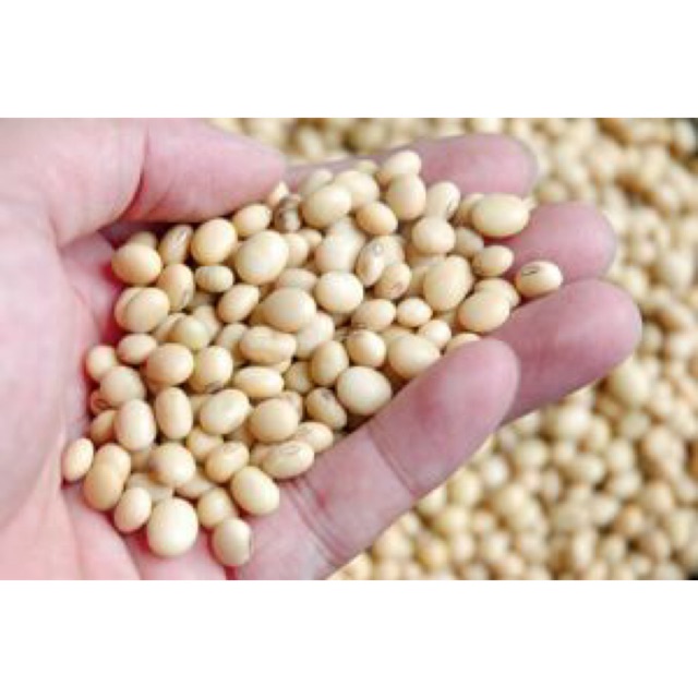 Bột đậu nành nguyên chất 1kg
