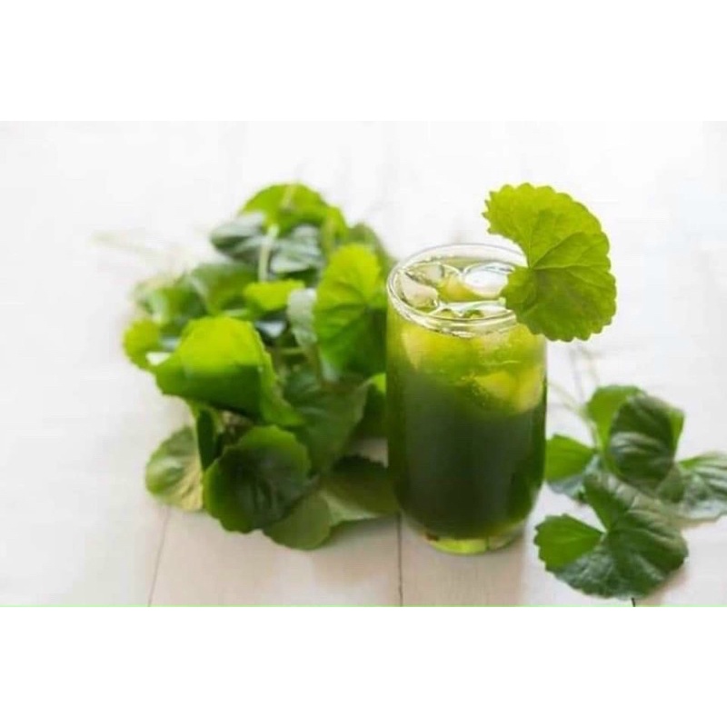 Bột rau má nguyên chất sấy lạnh