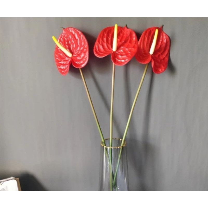 ( Hoa giả) Combo 10 cành hoa hồng môn đỏ, hồng môn trang trí