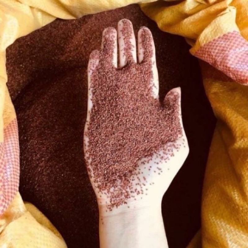 100g hạt ngũ hoa ( hạt đình lịch) hạt đẹp sạch
