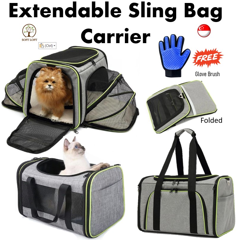 free cat carriers