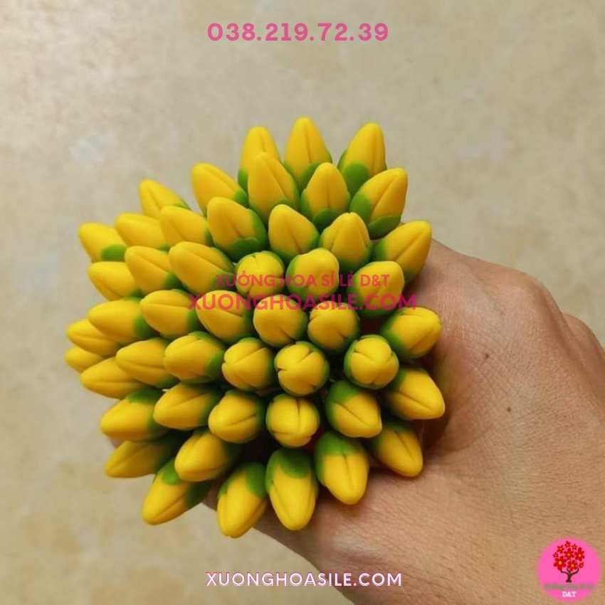 [HCM]NỤ MAI GIẢ, NỤ MAI ĐẤT SÉT