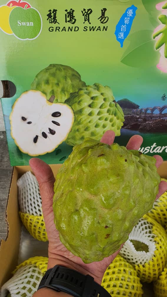 Taiwan Custard Apple 台湾釋迦果 750gm± per piece Lazada